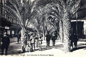 Oran - Boulevard Seguin - Les Palmiers